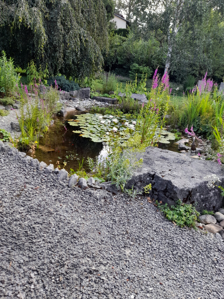 Bilder Ulrich Krummel Haus- & Gartendienste, Garten- & Landschaftsbau