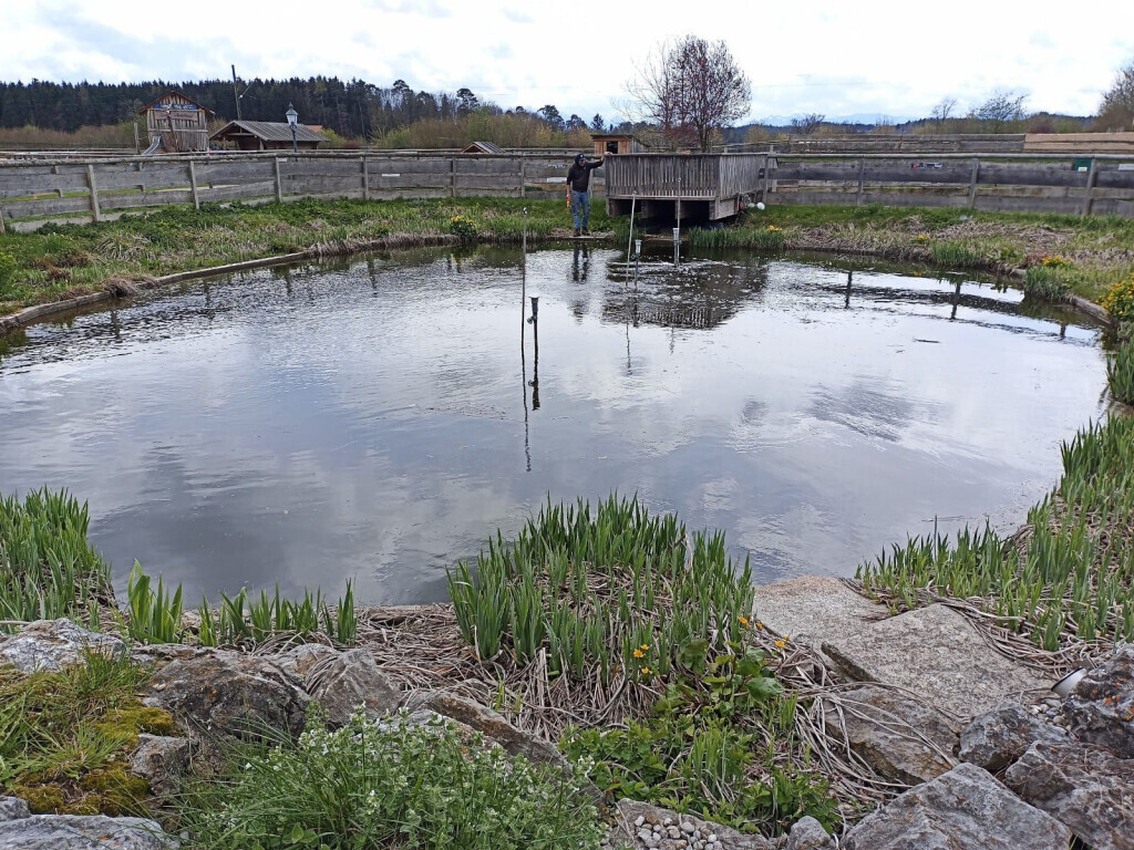 Bilder Ulrich Krummel Haus- & Gartendienste, Garten- & Landschaftsbau