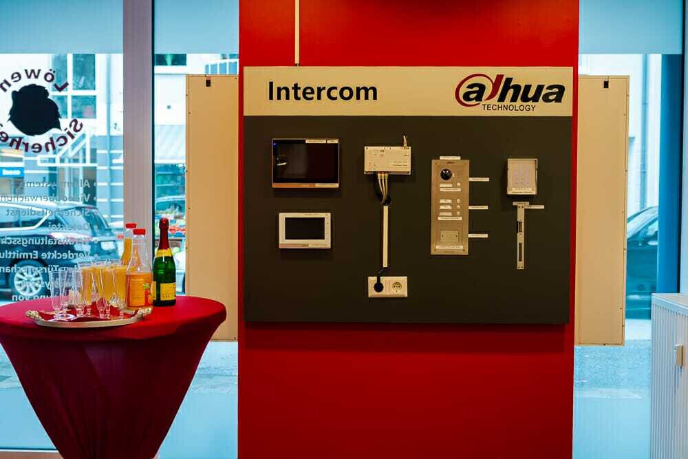 Bilder Löwen - Sicherheit