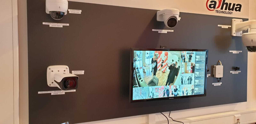 Bilder Löwen - Sicherheit