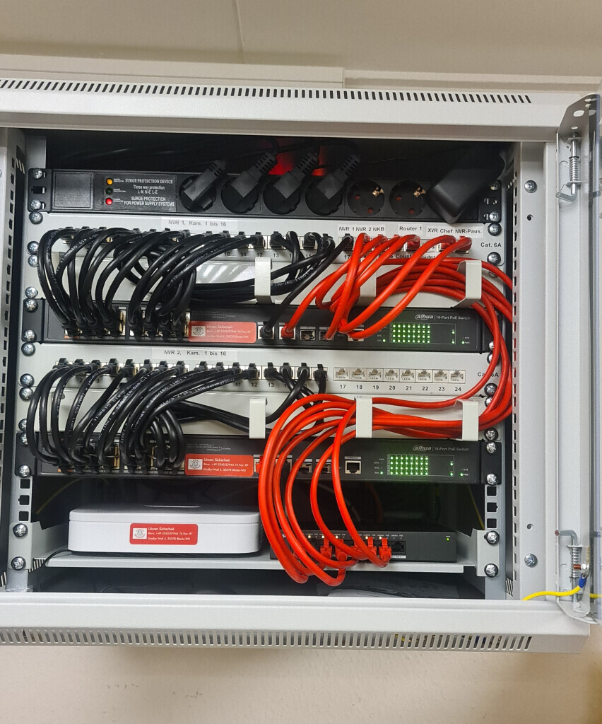 Bilder Löwen - Sicherheit