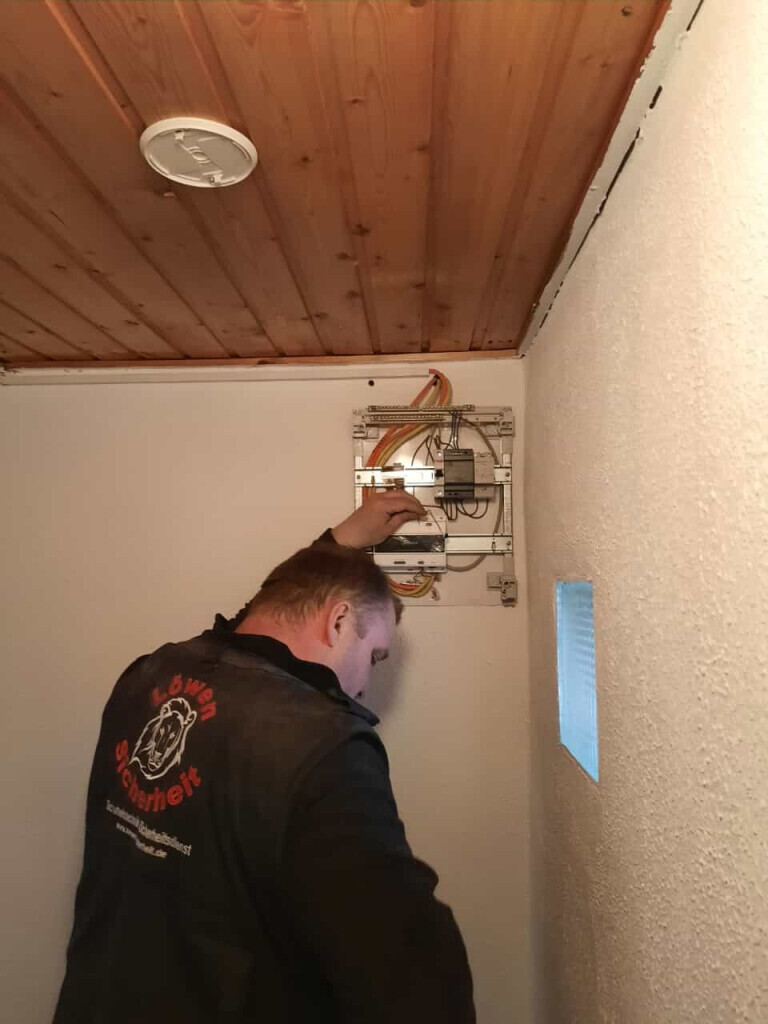 Bilder Löwen - Sicherheit