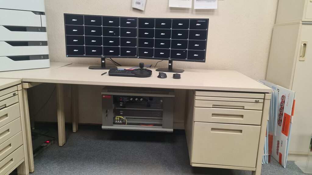 Bilder Löwen - Sicherheit