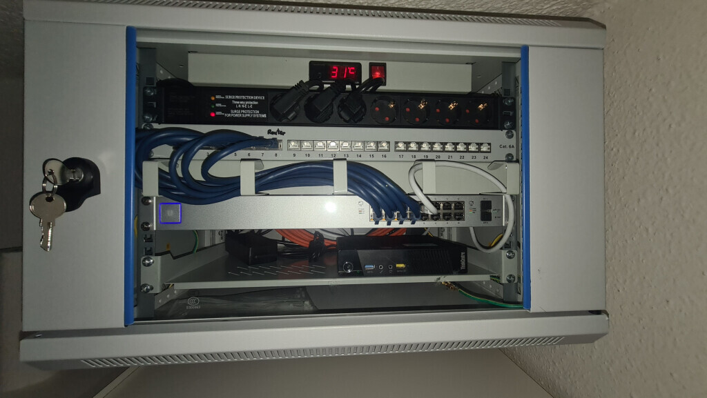 Bilder Löwen - Sicherheit