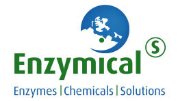 Enzymicals AG Logo