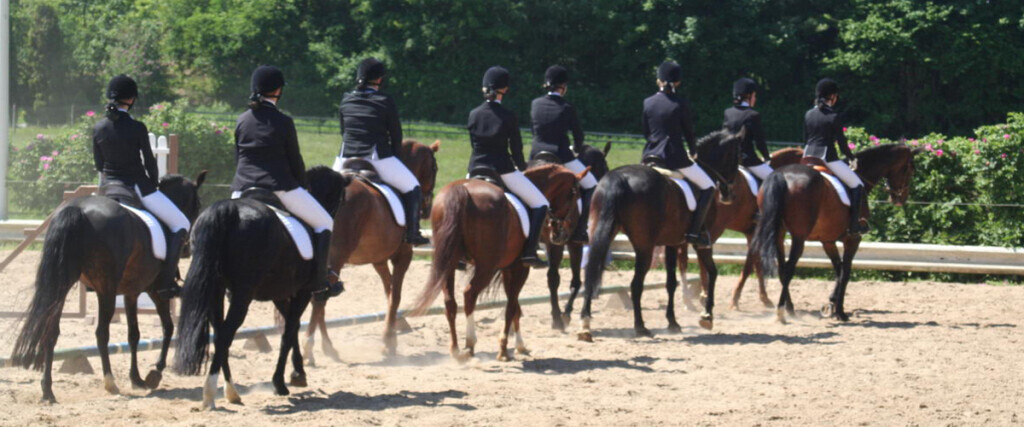 Bilder Augustenhof