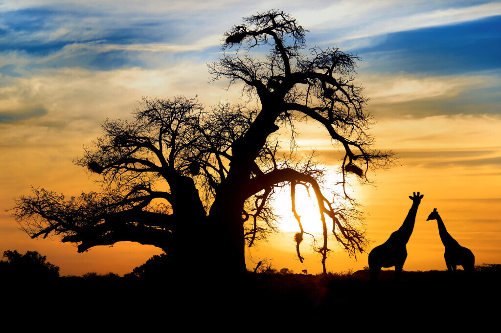 Bilder Aventura Reisen Inh. Rainer Haase