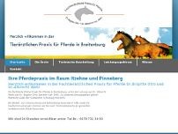 Fachtierärztliche Praxis für Pferde - Brigitte Otto website screenshot