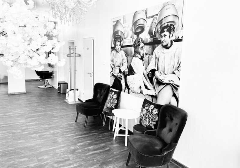 Bilder HF Hairlounge