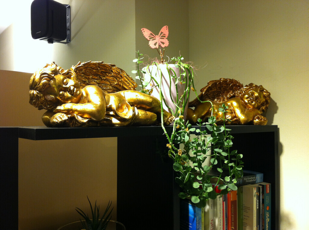 Bilder SALONKULTUR - Ihr Friseur