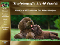 Tierporträt Inh. Sigrid Starick website screenshot