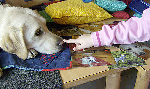 Bilder Lebenshilfe Völklingen GmbH