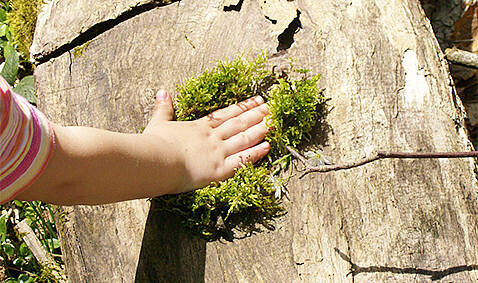 Bilder Lebenshilfe Völklingen GmbH