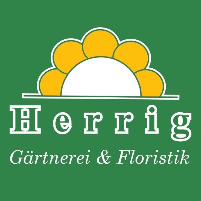 Gärtnerei Herrig Logo