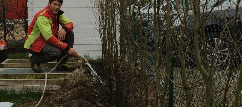 Bilder Ben's Baumpflege