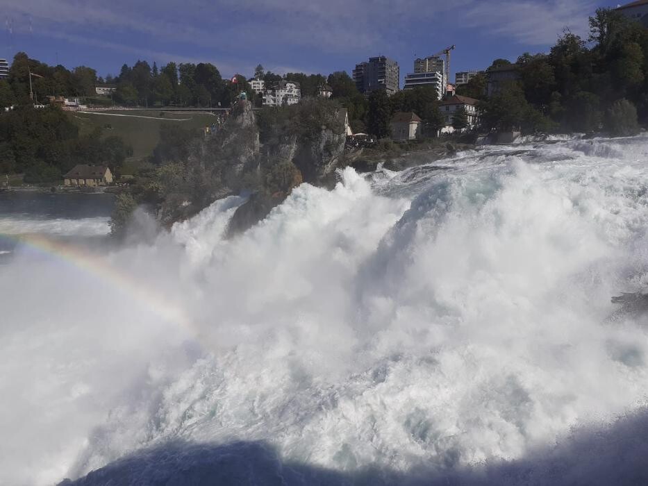 Bilder Lindauer Reisebüro