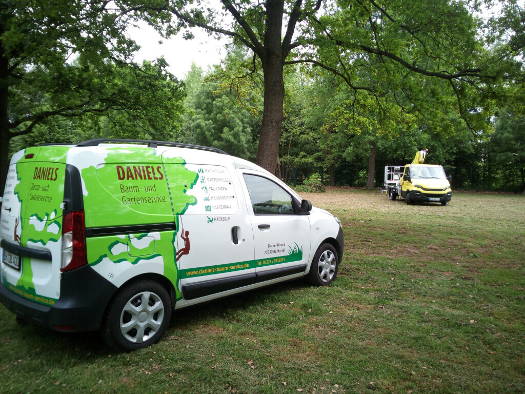 Bilder Daniels Baum- & Gartenservice