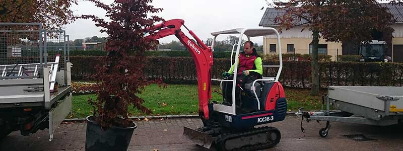 Bilder Daniels Baum- & Gartenservice