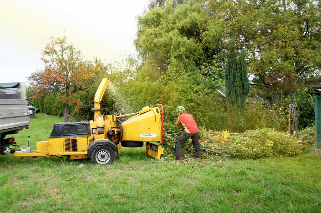 Bilder Daniels Baum- & Gartenservice