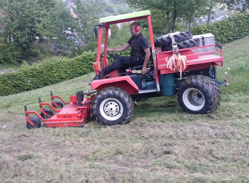Bilder Daniels Baum- & Gartenservice