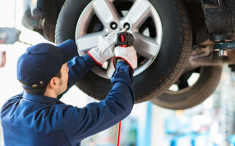 Bilder August Schaal