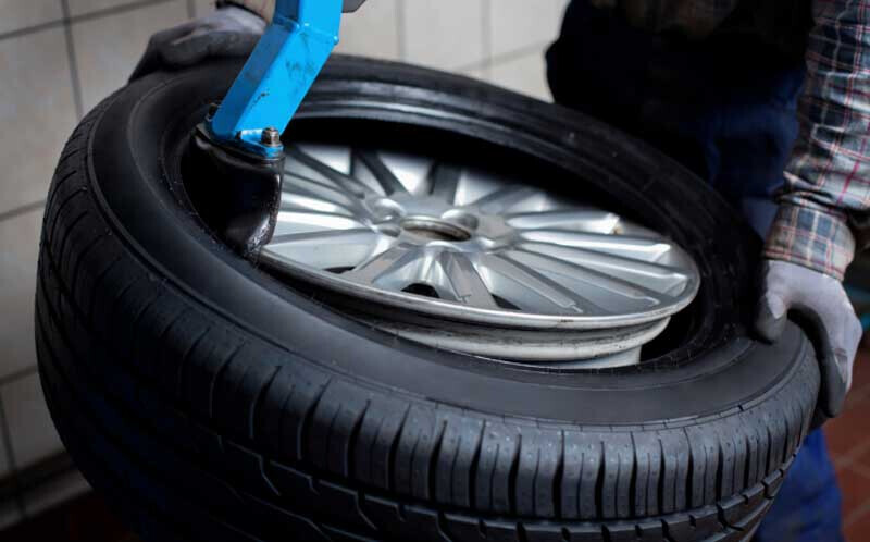 Bilder August Schaal