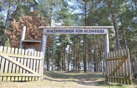 Bilder Waldfriedhof für Kleintiere