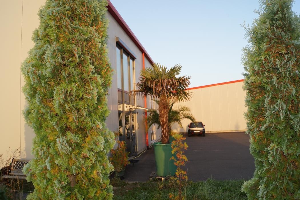 Bilder Alpha Techno Massagesessel GmbH