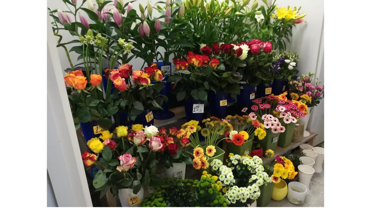 Bilder Blumen Kiosk