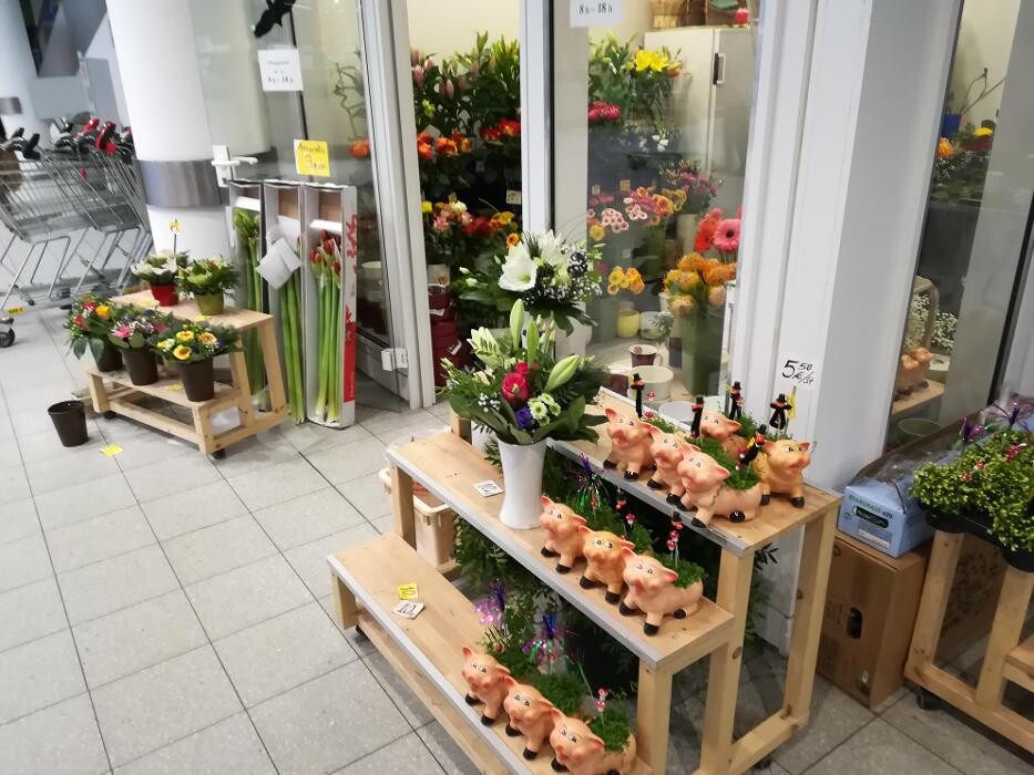 Bilder Blumen Kiosk