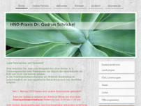 HNO-Praxis Dr. Schrickel website screenshot