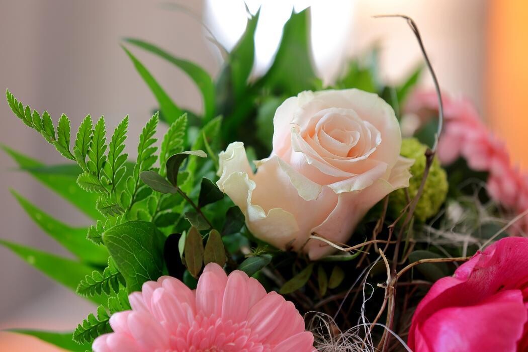 Bilder Dreschke Bestattungen Fromageot GmbH