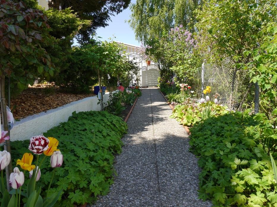 Bilder Pension Mittag