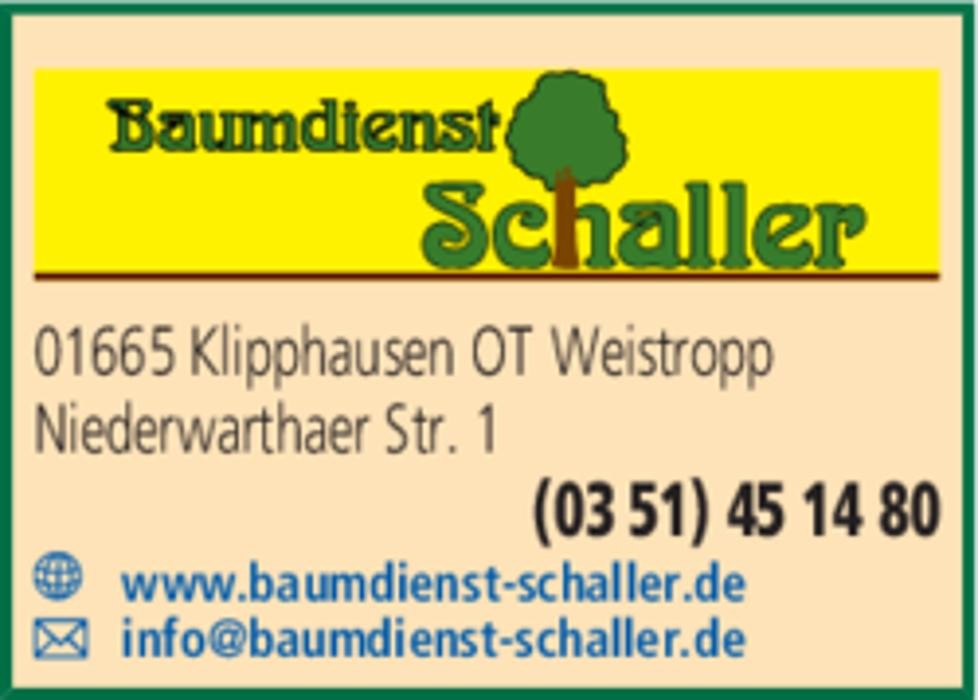 Bilder Baumdienst Schaller