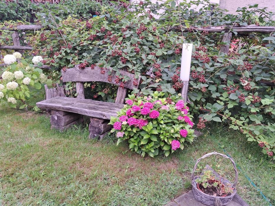 Bilder Ferienwohnungen und Pension Sachon