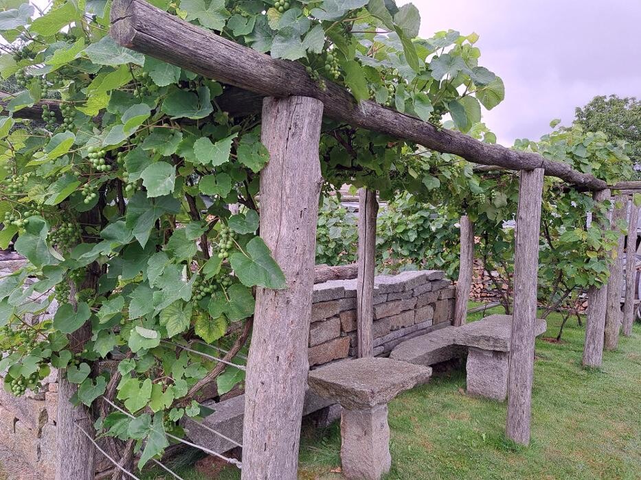 Bilder Ferienwohnungen und Pension Sachon
