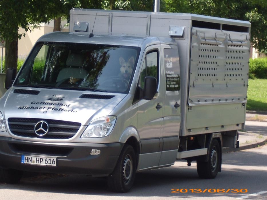 Bilder Geflügelhof Michael Pfefferle