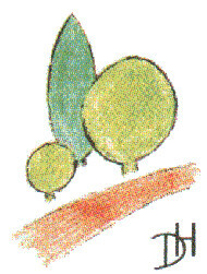Delle und Heinemann Garten- und Landschaftsbau eGbR Logo