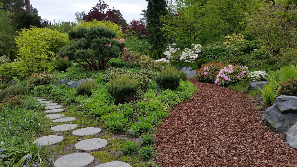 Bilder Delle und Heinemann Garten- und Landschaftsbau eGbR