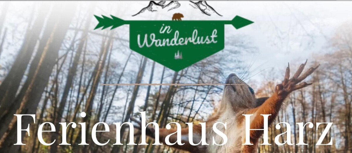 Bilder Ferienhaus Harz