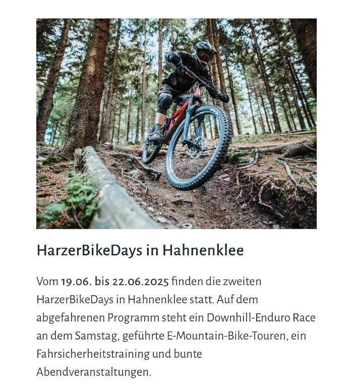 Bilder Ferienhaus Harz