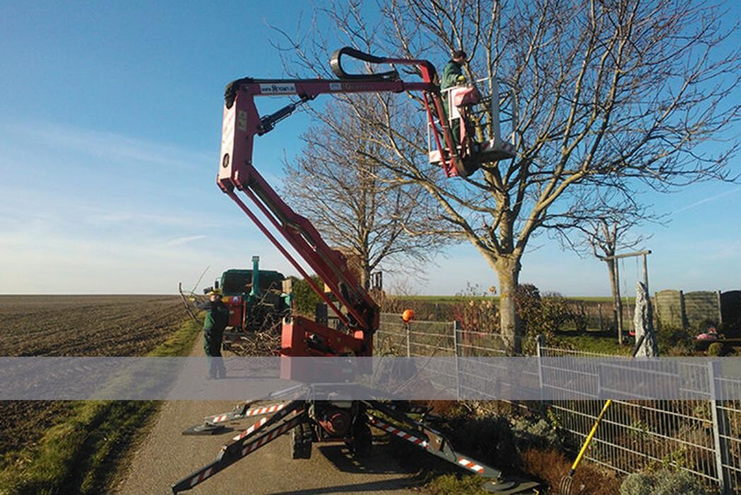 Bilder Gartendesign Tiedemann
