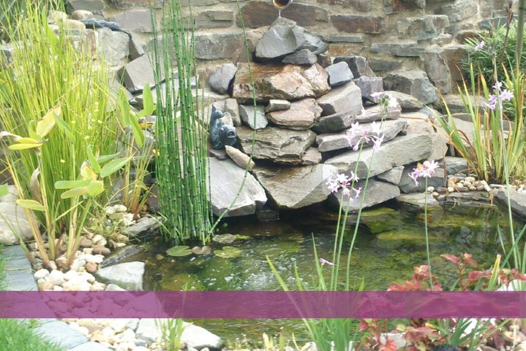 Bilder Gartendesign Tiedemann