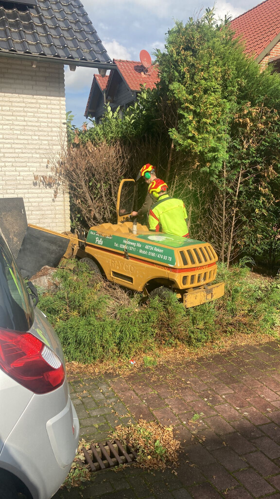 Bilder Forst- und Baumdienst Pels