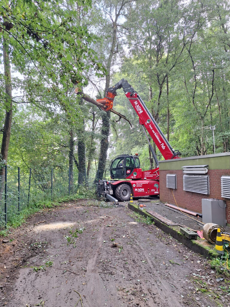Bilder Forst- und Baumdienst Pels