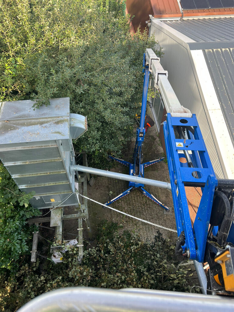Bilder Forst- und Baumdienst Pels