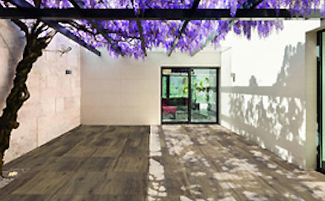 Bilder Garten Art GmbH Garten- und Landschaftsbau