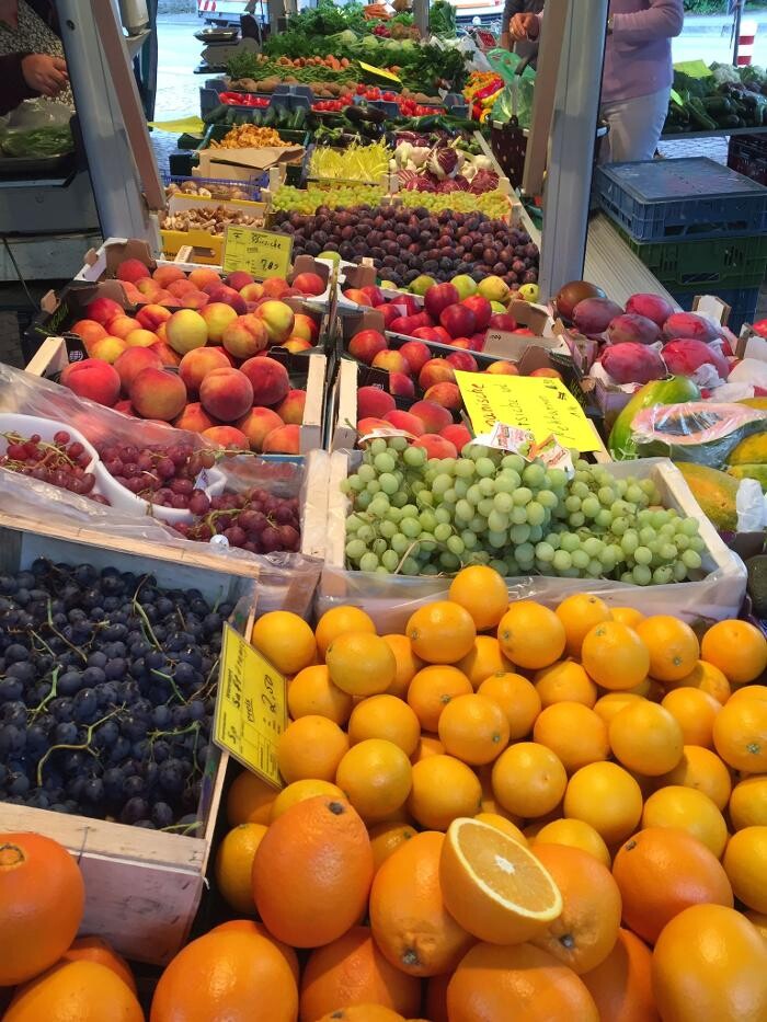 Bilder Gärtnerei Oser