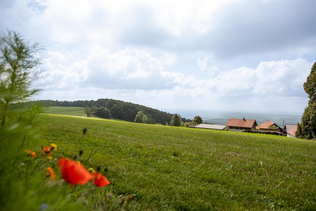 Bilder Pension Jodlbauer