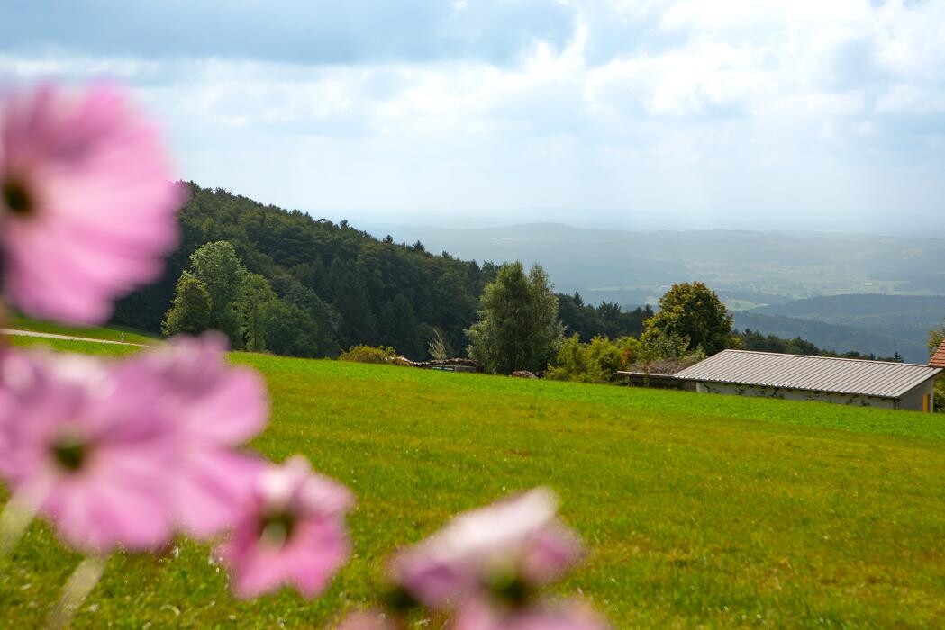 Bilder Pension Jodlbauer